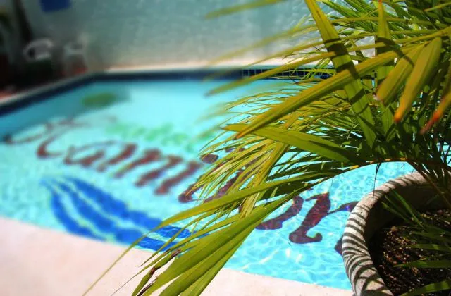 Hotel Hamilton Boca Chica piscine