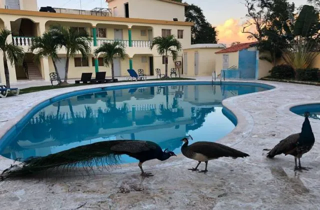 Apparthotel Veron Punta Cana piscine 1