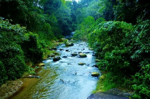 Complejo Ecoturistico Angostura rivière