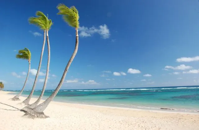 Sirenis Punta Cana Resort plage de reves