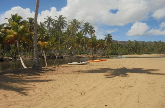 Playa Coson Las Terrenas Republique Dominicaine