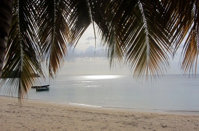 Playa Las Ballenas republique dominicaine