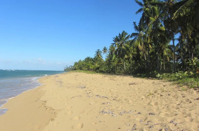 Playa El Portillo Republique Dominicaine