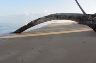 plage naturiste republique dominicaine