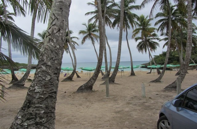 playa caribe republique dominicaine