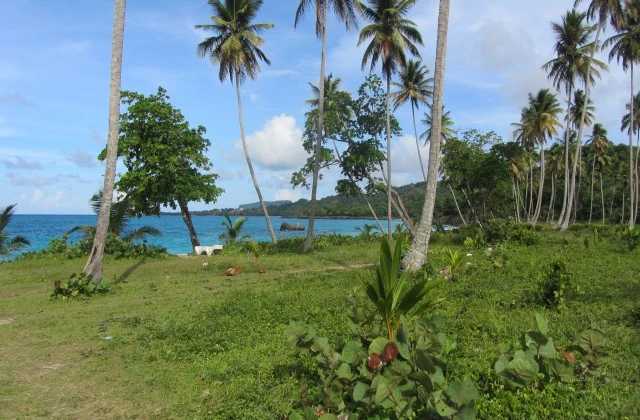 Playa Rincon Las Galeras Samana Republique Dominicaine